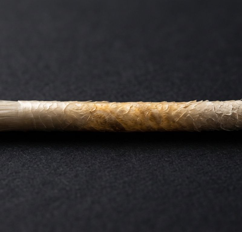 Macro de un cabello con tres zonas: cutícula lisa en la raíz, zona media con pigmento drenado de forma irregular y puntas porosas