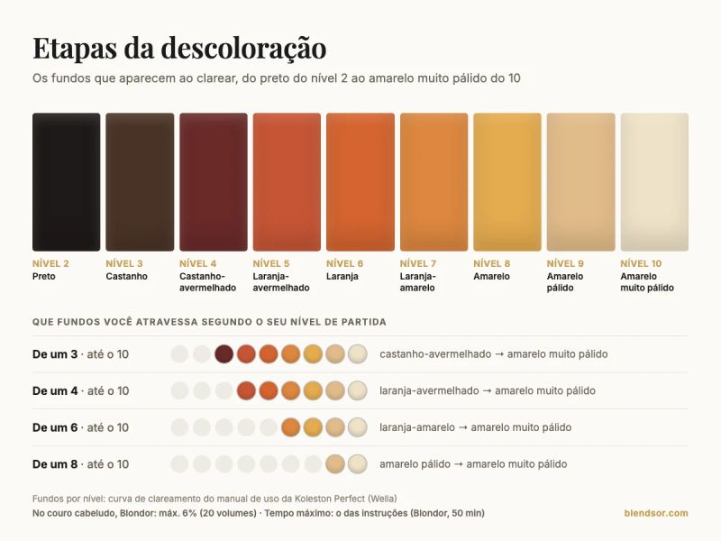 Lâmina das etapas da descoloração: os fundos da curva de clareamento da Wella do nível 2 ao 10, do preto ao amarelo muito pálido, e que fundos você atravessa a partir de um 3, um 4, um 6 ou um 8