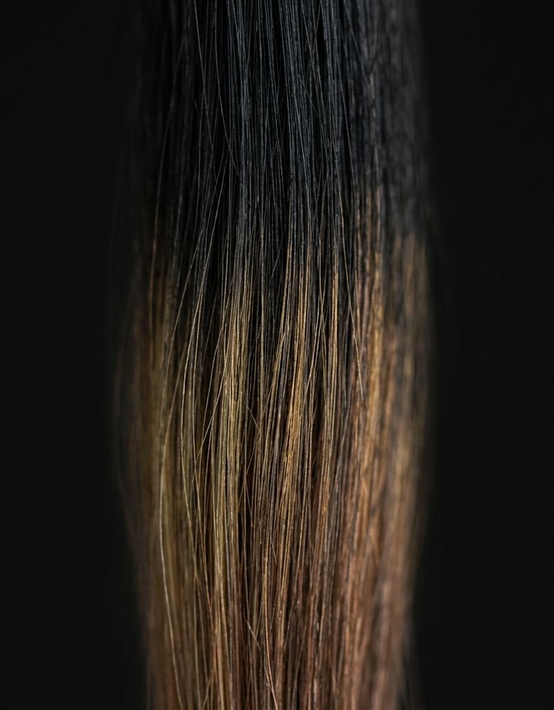Hair cross-section on a black background showing the warm underlying pigment that surfaces by zone when lifting an accumulated box-dye black, in a gold and copper palette