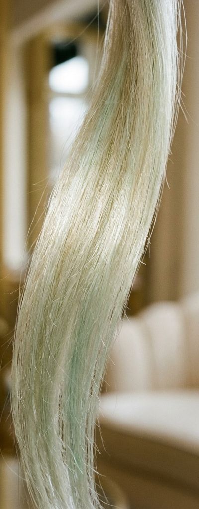 Bleached blonde hair strand with greenish tones before and after neutralization