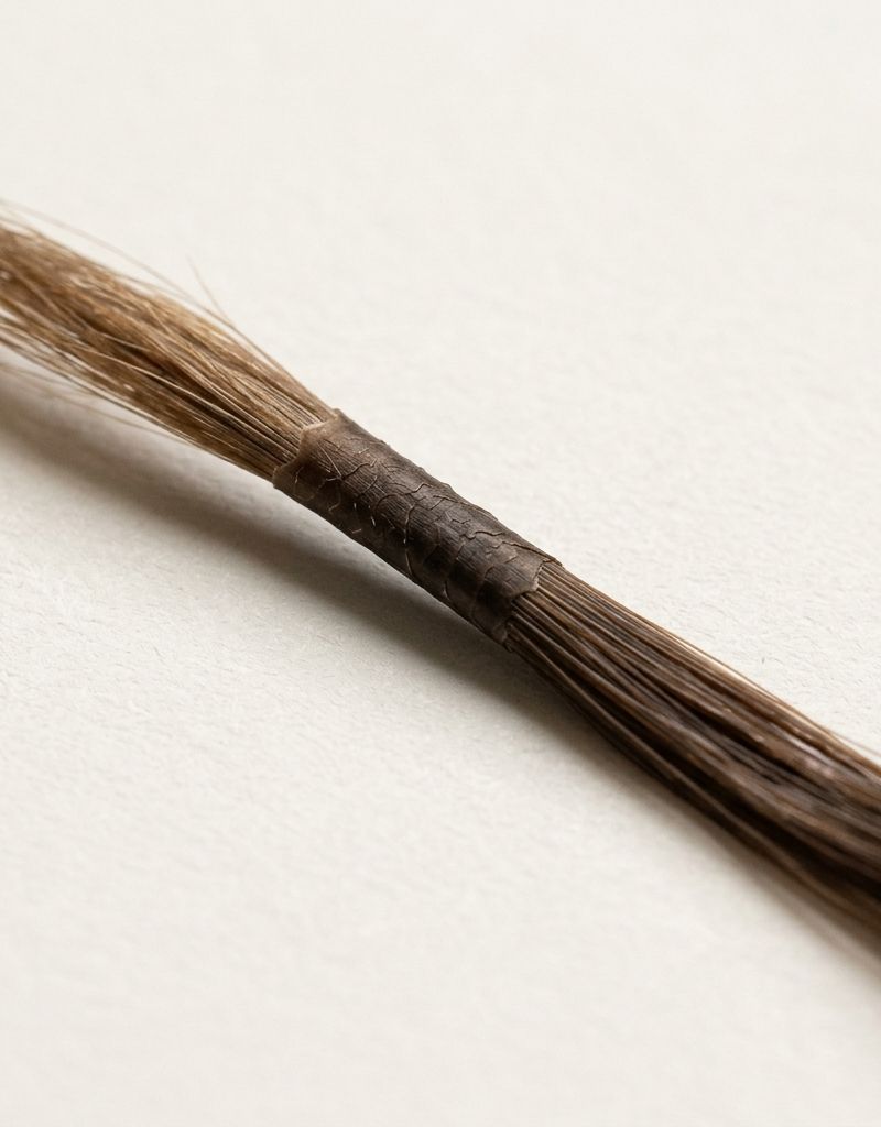 Mecha de cabelo mostrando a diferença de densidade entre a raiz recém-colorida, a faixa de retoques anteriores e o comprimento, sobre fundo neutro