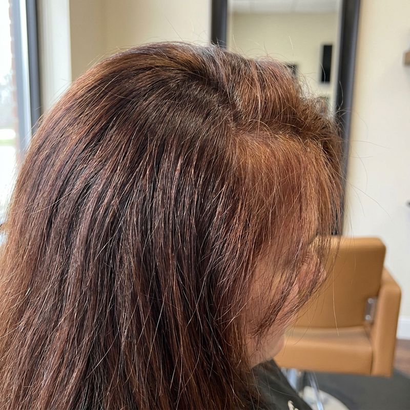 Hair part seen from above showing two distinct tones between the root zone and the mid-length zone, under natural window light in a salon