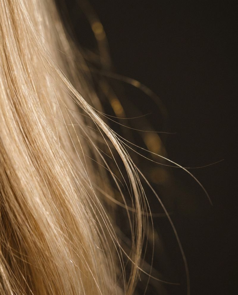 Macro shot of healthy, glossy blonde hair strands